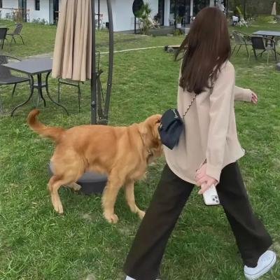 野兽与美人